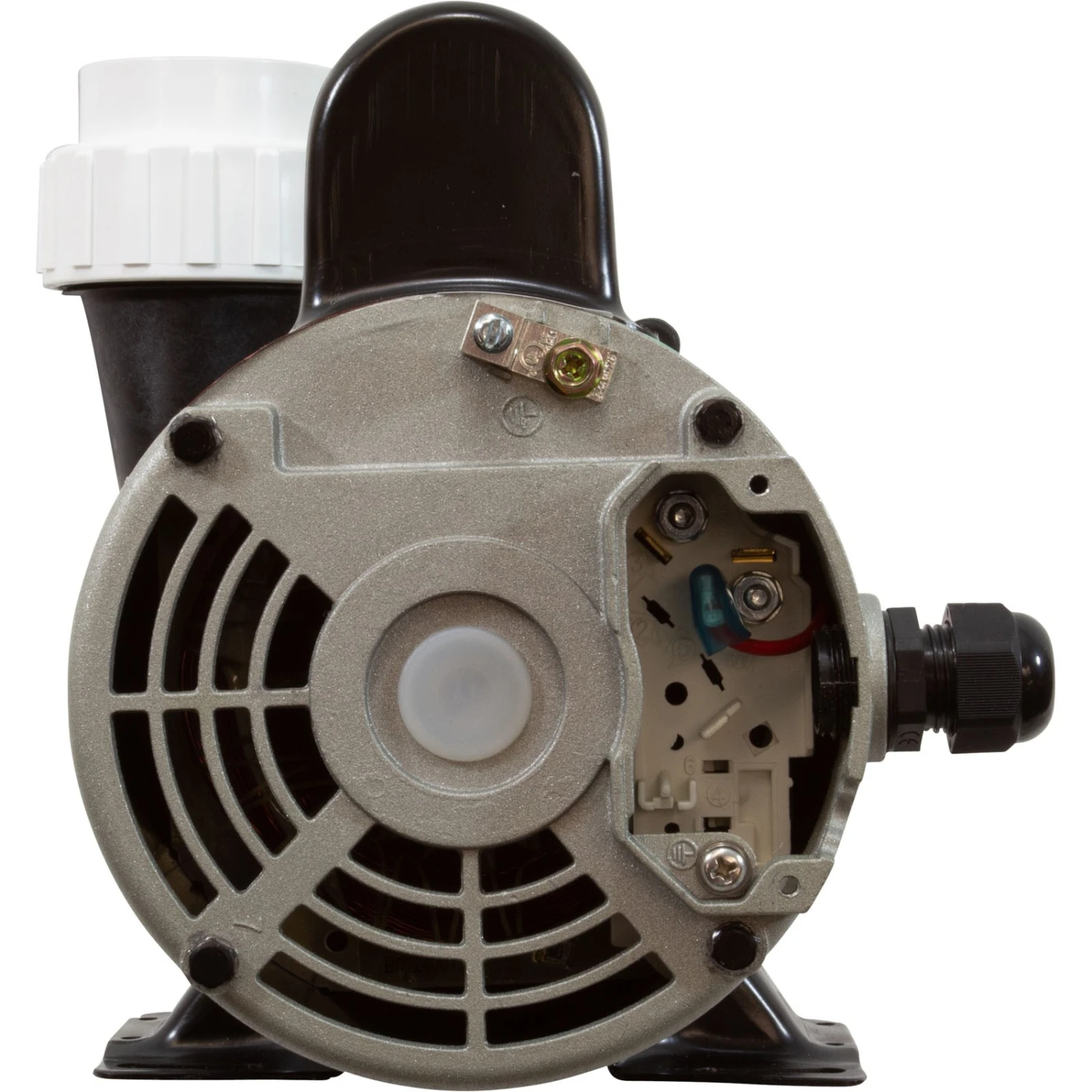 2.5" - Side Discharge 4.0HP 56 Frame 2-Speed Spa Pump 230v 5 2.5" - Side Discharge 4.0HP 56 Frame 2-Speed Spa Pump 230v - Image 3