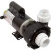 2" - Side Discharge 1.5HP 48 Frame 2-Speed Spa Pump 230v 2 2" - Side Discharge 1.5HP 48 Frame 2-Speed Spa Pump 230v -POOLSPLASH Sales 34 343 1070 XL